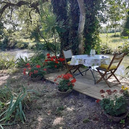 Gite " Jardin Peyrona" Visite Zoo Beauval Et Chateaux De Loire Beaulieu-les-Loches Bagian luar foto