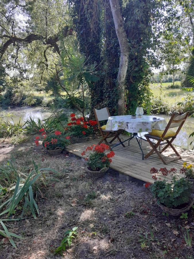 Gite " Jardin Peyrona" Visite Zoo Beauval Et Chateaux De Loire Beaulieu-les-Loches Bagian luar foto
