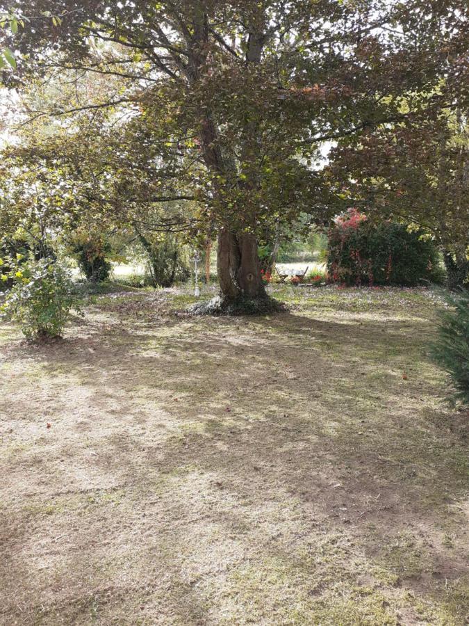 Gite " Jardin Peyrona" Visite Zoo Beauval Et Chateaux De Loire Beaulieu-les-Loches Bagian luar foto
