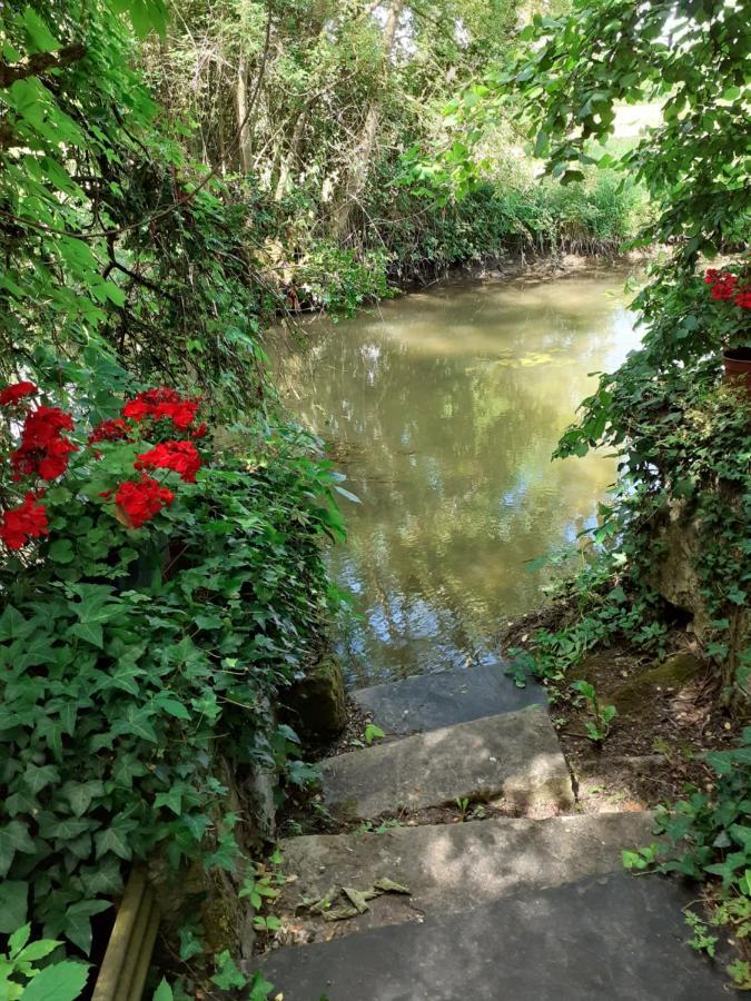 Gite " Jardin Peyrona" Visite Zoo Beauval Et Chateaux De Loire Beaulieu-les-Loches Bagian luar foto