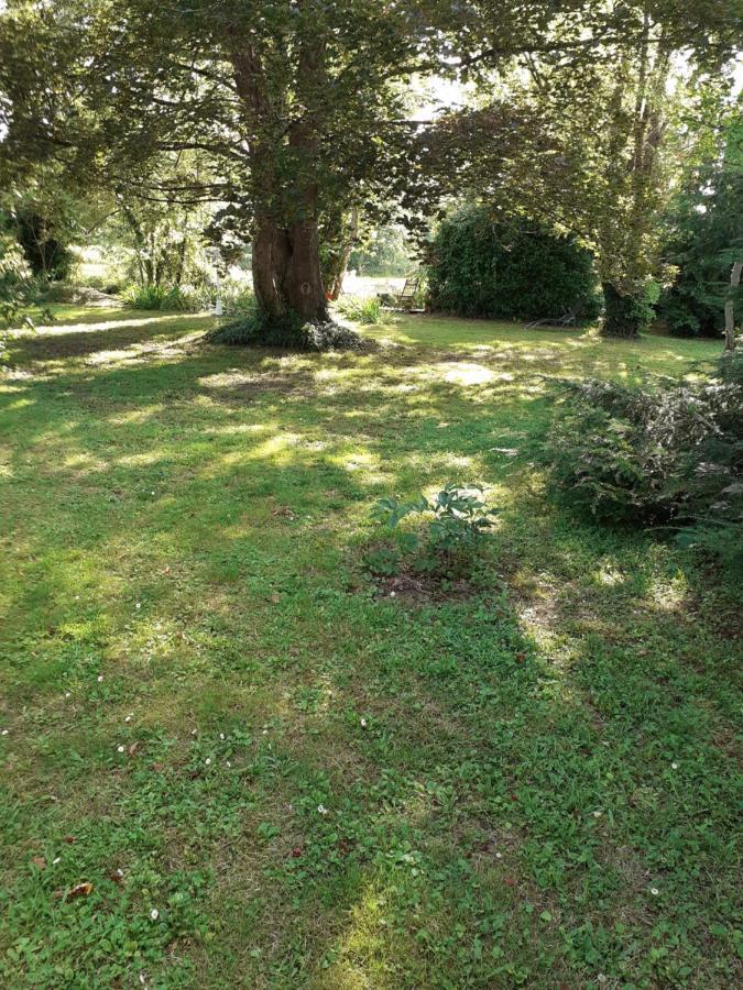 Gite " Jardin Peyrona" Visite Zoo Beauval Et Chateaux De Loire Beaulieu-les-Loches Bagian luar foto