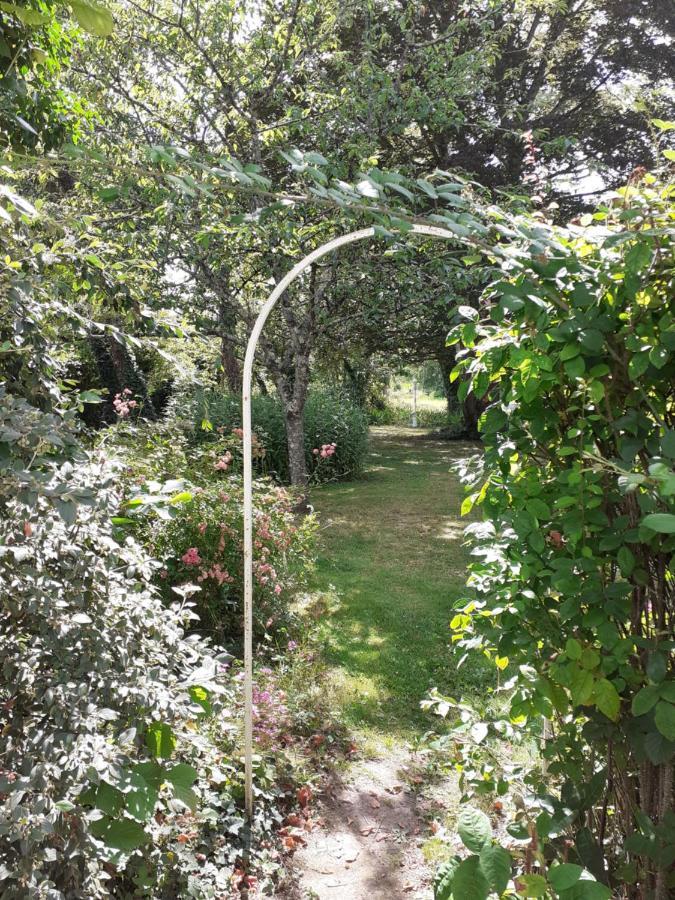 Gite " Jardin Peyrona" Visite Zoo Beauval Et Chateaux De Loire Beaulieu-les-Loches Bagian luar foto