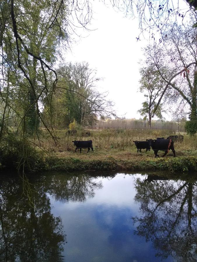 Gite " Jardin Peyrona" Visite Zoo Beauval Et Chateaux De Loire Beaulieu-les-Loches Bagian luar foto